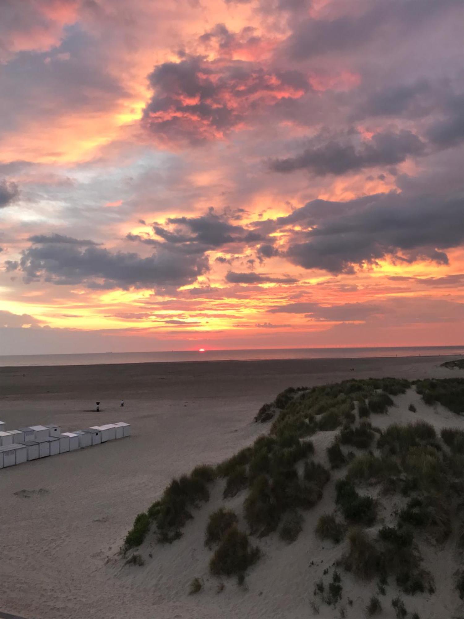 Dune Du Palace Brygge Exteriör bild